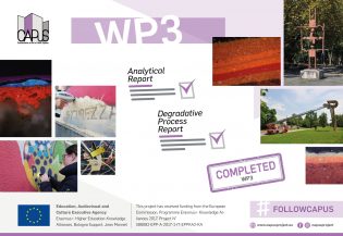 13028Work Package 3 (Analytical characterisation of the selected artworks): Final Report