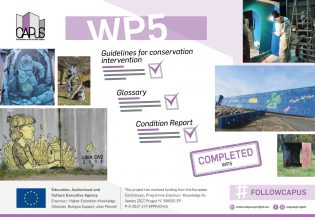 13106Work Package 5 (Implementation of a Conservation Methodology): Final Report