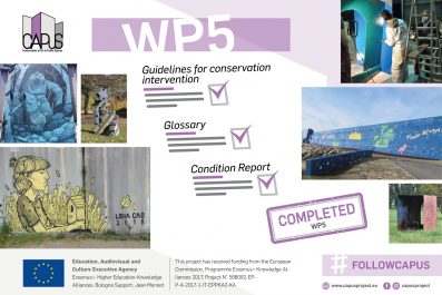 Work Package 5 (Implementation of a Conservation Methodology): Final Report